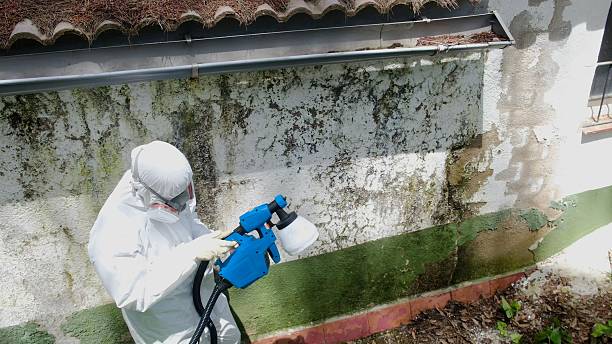 Mold Remediation service in Franktown, Franktown, VA